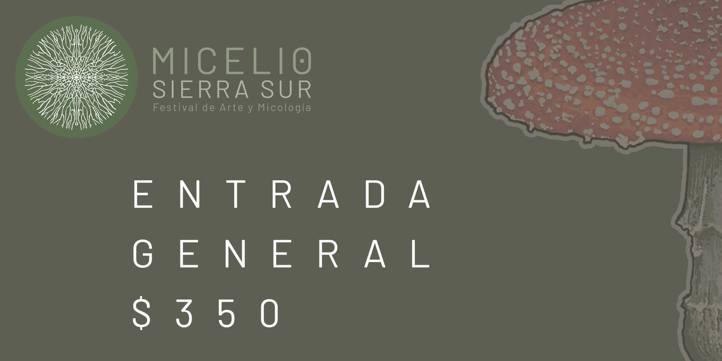 Entrada General ADULTOS