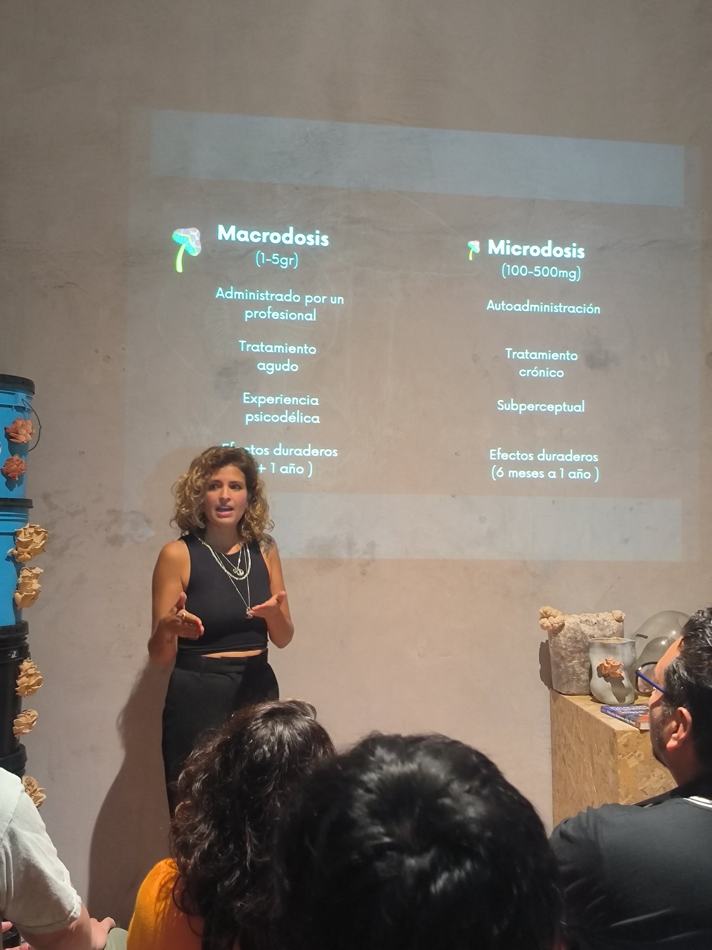 TALLER: Cultivo amigable de setas (pleurotus) comestibles por Fungi People
