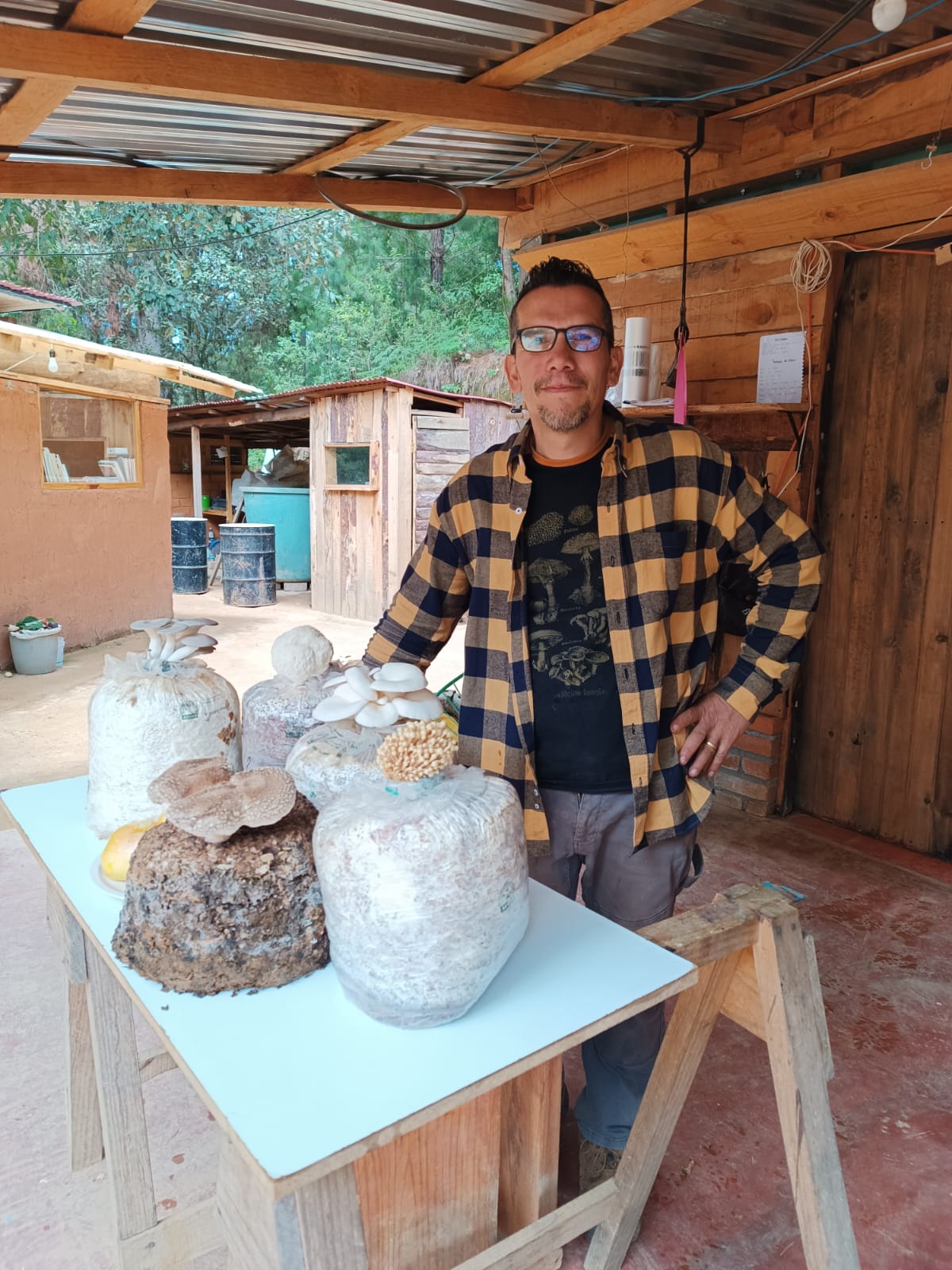 TALLER: Cultivo de Reishi y Shiitake por Juan de Dios López