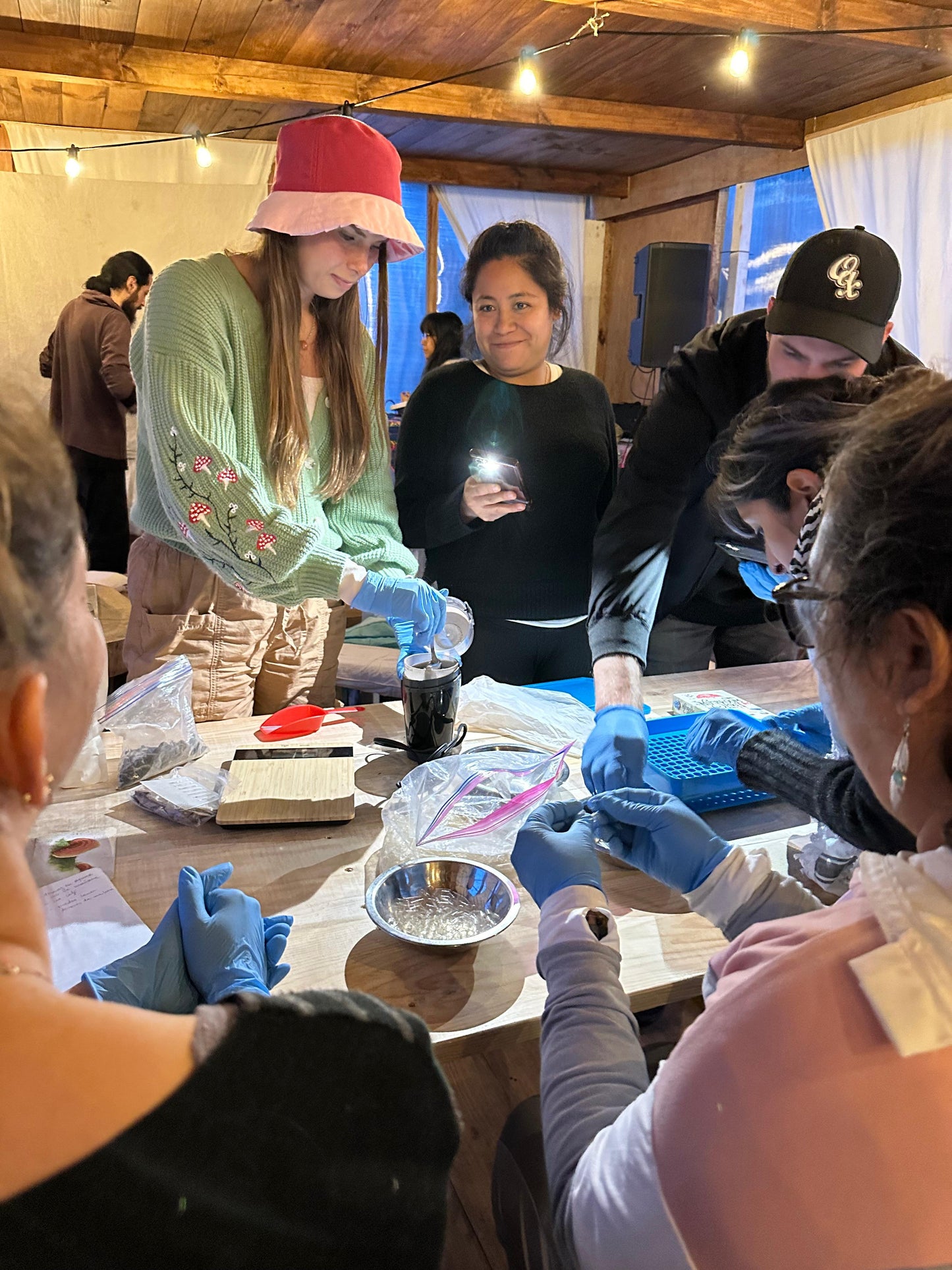 TALLER: Hongos adaptógenos y medicinales por Ksenia Klimov