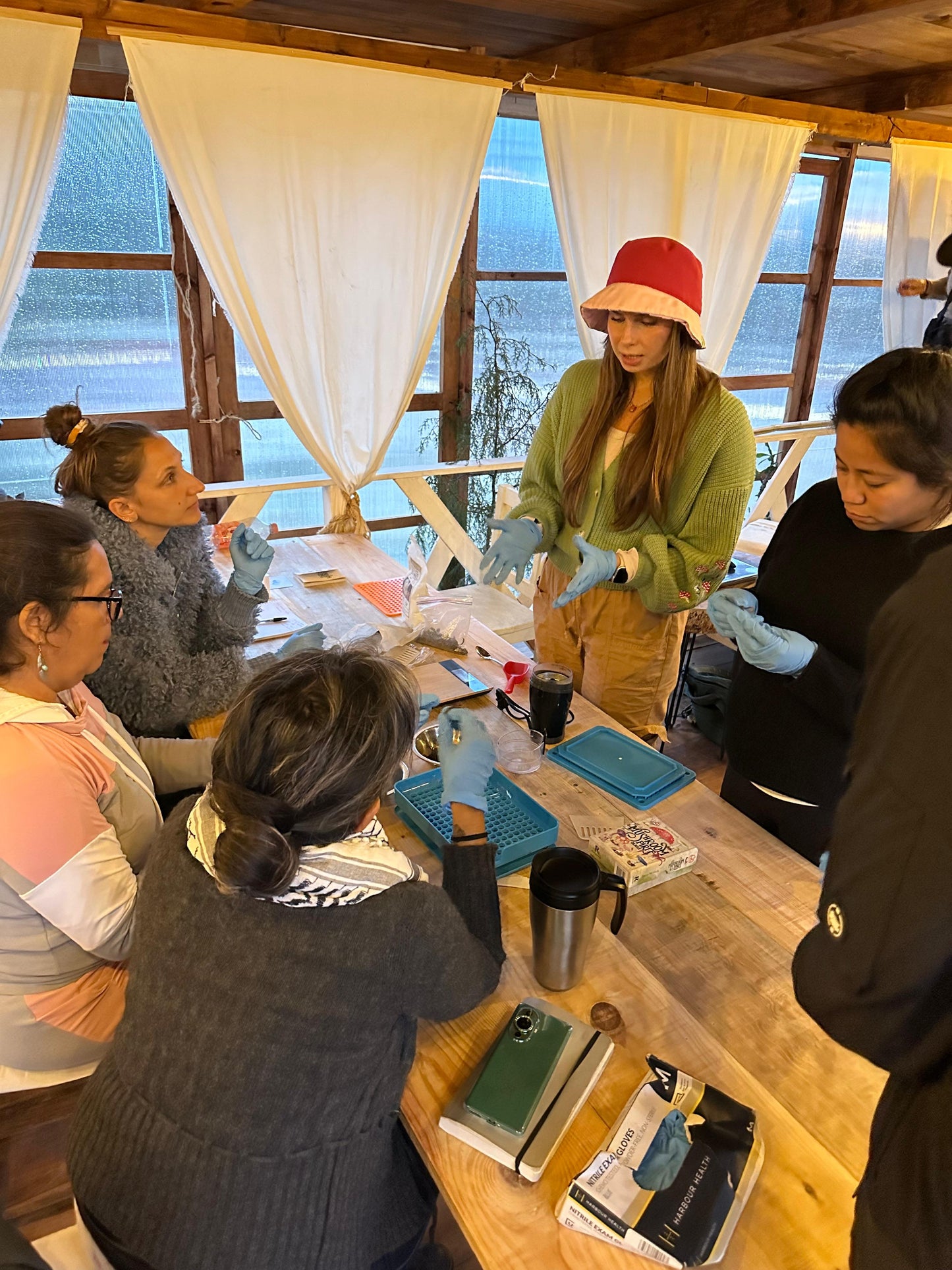 TALLER: Hongos adaptógenos y medicinales por Ksenia Klimov