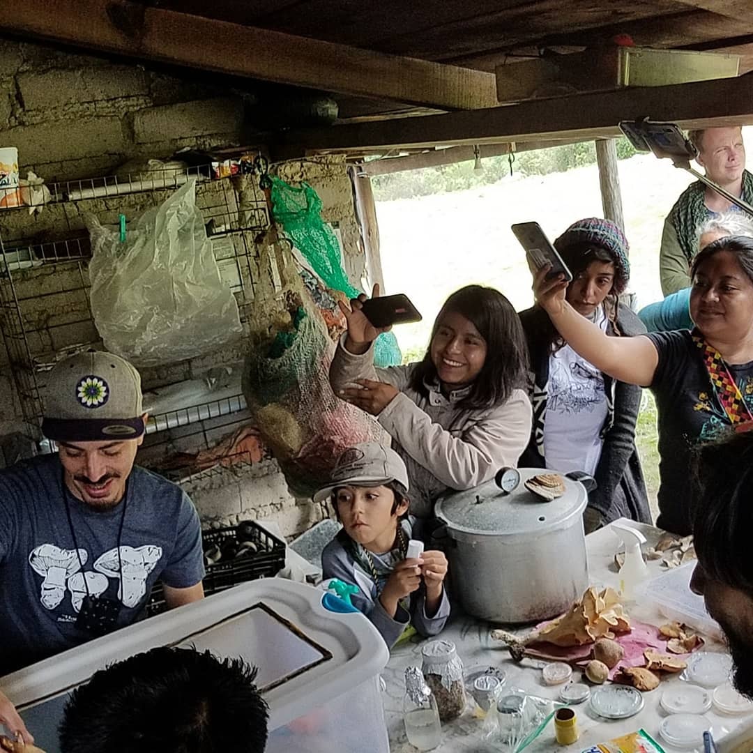 Taller: Cultivo de Micelio a partir de esporas y clonación - Por Iñaki Oyarvide