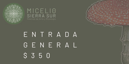 Entrada General ADULTOS