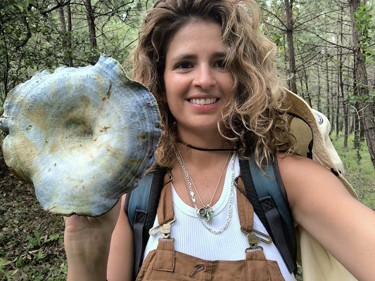 TALLER: Cultivo amigable de setas (pleurotus) comestibles por Fungi People