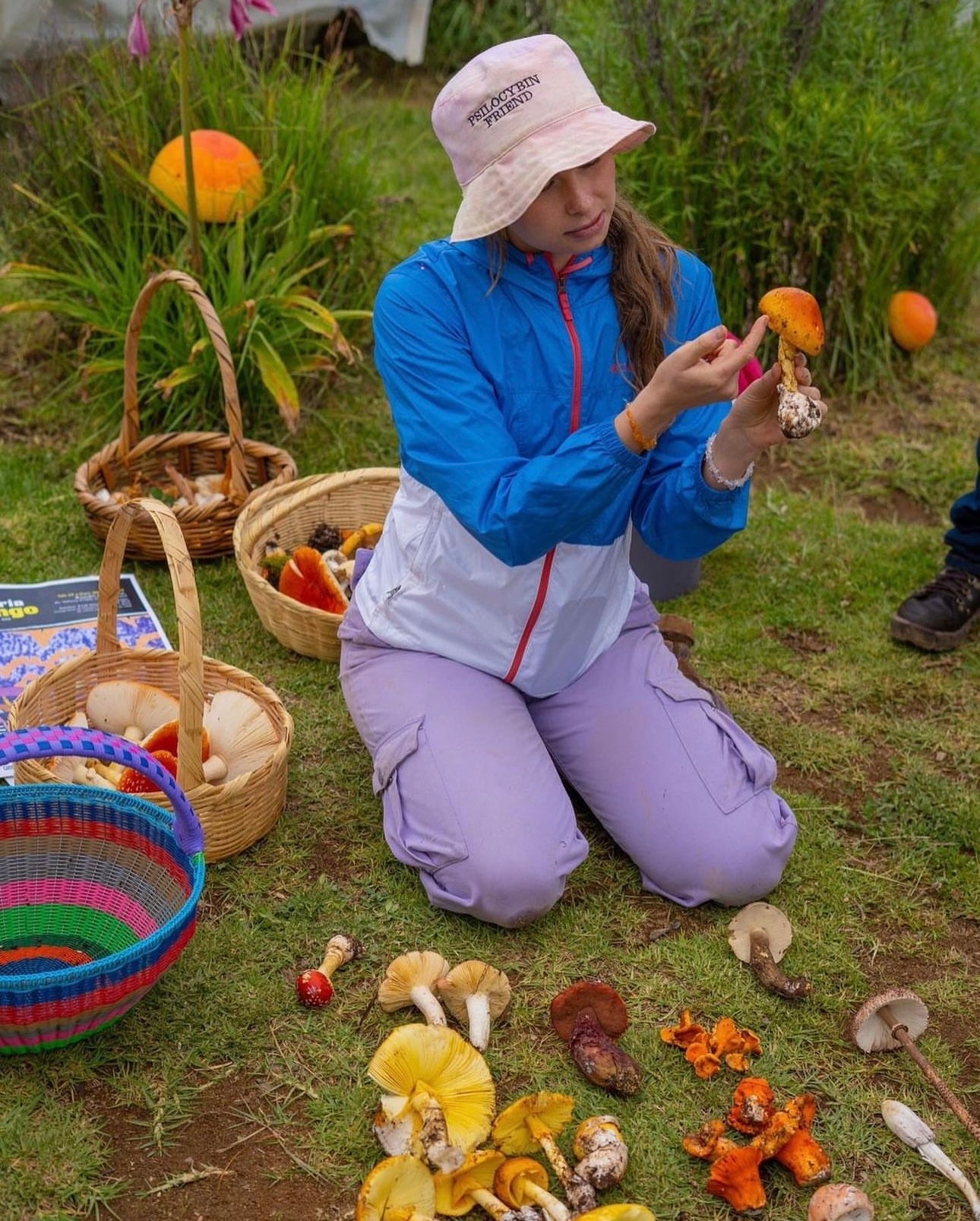 Taller de Microdosis de psilocibina + Creación de cápsulas para tratamiento por 2 meses  por Ksenia Klimov