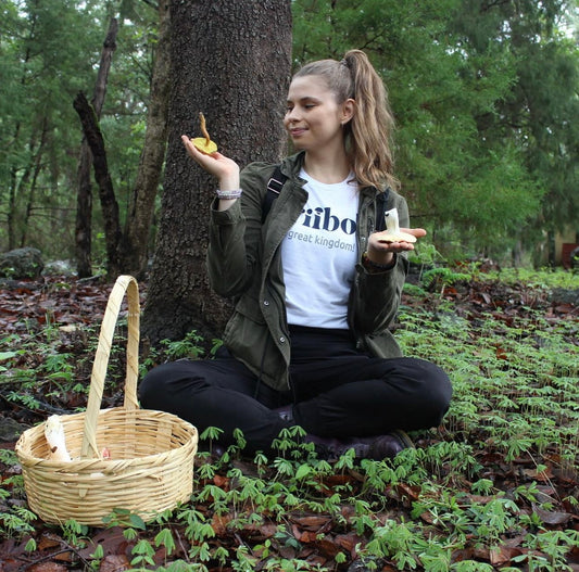 CAMINATA DE EXPLORACIÓN, IDENTIFICACIÓN Y RECOLECCIÓN FUNGI por Ksenia Klimov
