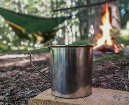 COMIDA SILVESTRE EN EL BOSQUE