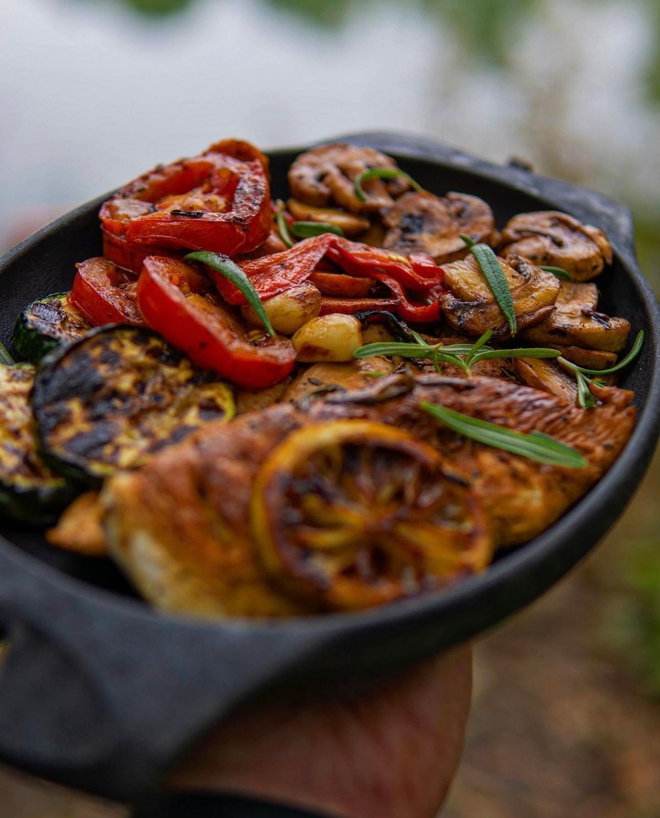 COMIDA SILVESTRE EN EL BOSQUE