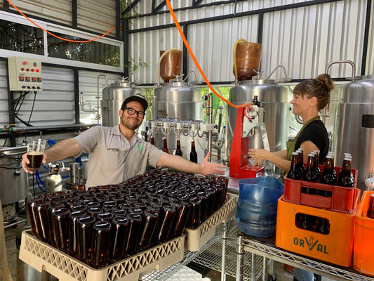 TALLER: LA VOZ DEL LÚPULO: Un taller de degustación entre botánica, sabor y alquimia por Rodrigo Olivo