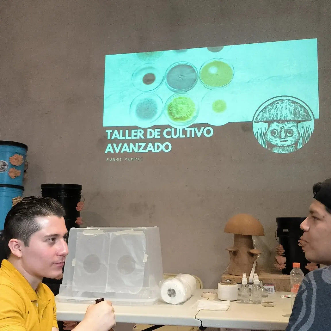 TALLER: Obteniendo material genético de un hongo Por Fungi People