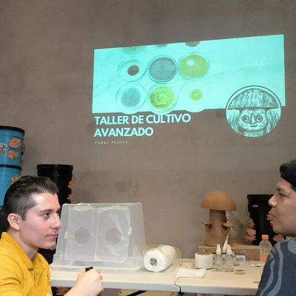 TALLER: Obteniendo material genético de un hongo Por Fungi People