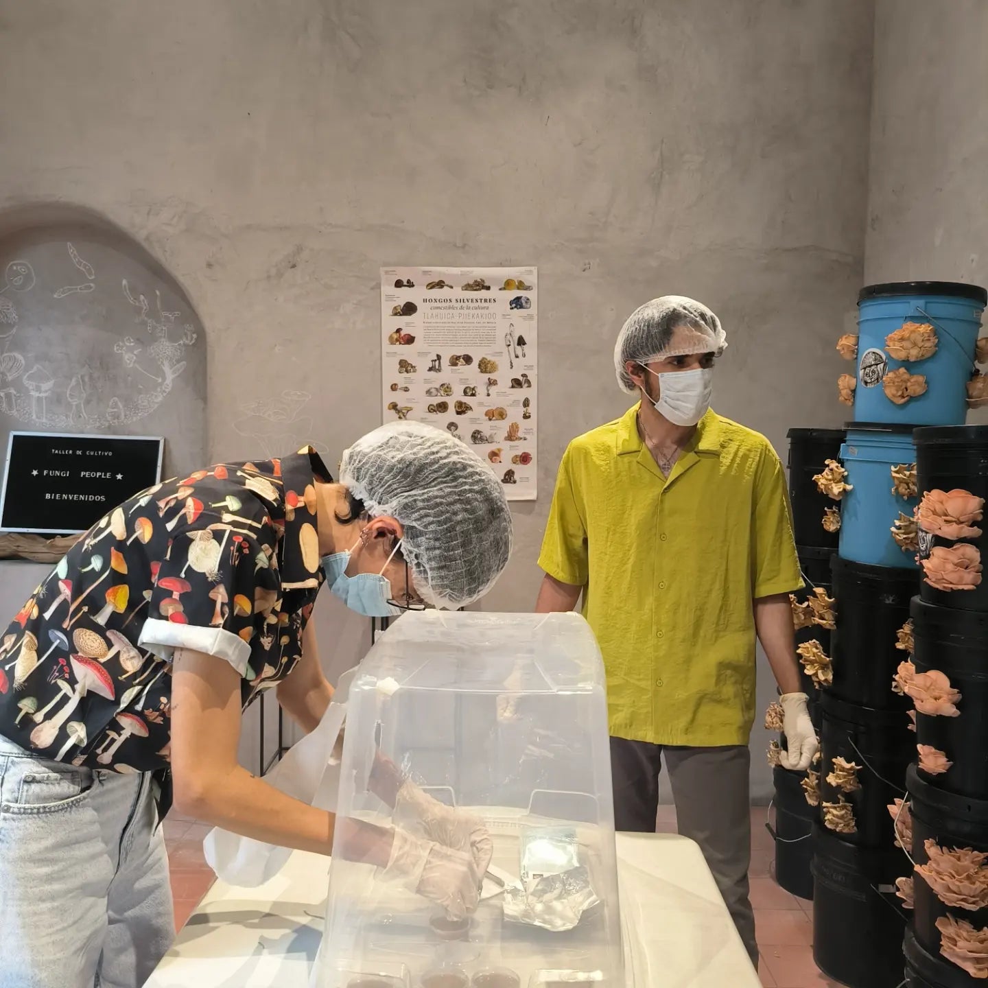 TALLER: Obteniendo material genético de un hongo Por Fungi People