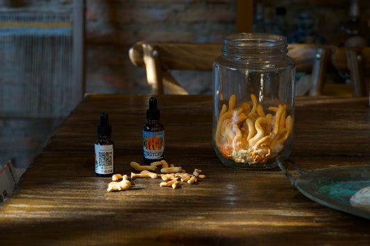 TALLER: Cultivo de Cordyceps: El Hongo de la Energía Vital por Fungi People
