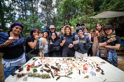 CAMINATA DE RECOLECCIÓN + TALLER DE IDENTIFICACIÓN  por Fungi People