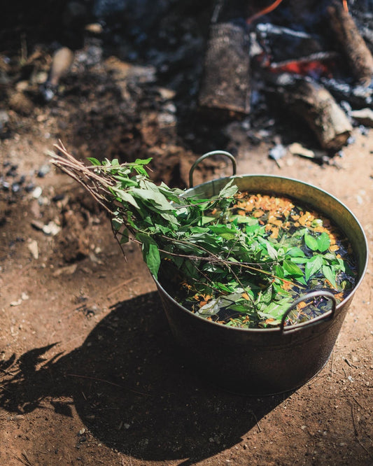 TEMAZCAL MEDICINAL / RELATO NATIVO